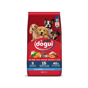 DOGUI PERRO ADULTO